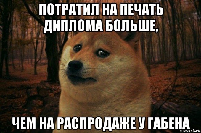 потратил на печать диплома больше, чем на распродаже у габена, Мем SAD DOGE