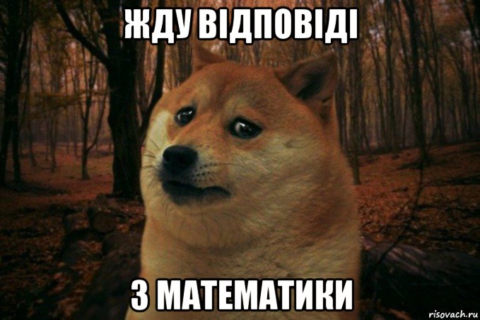 жду відповіді з математики, Мем SAD DOGE