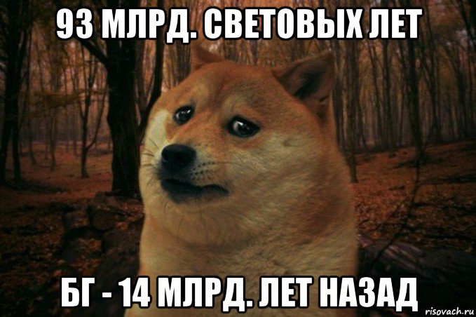 93 млрд. световых лет бг - 14 млрд. лет назад, Мем SAD DOGE