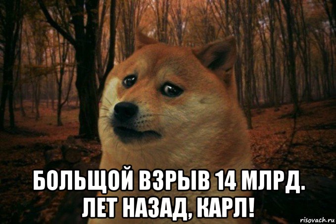  больщой взрыв 14 млрд. лет назад, карл!, Мем SAD DOGE