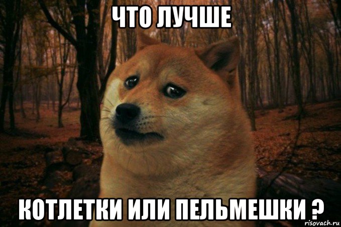 что лучше котлетки или пельмешки ?, Мем SAD DOGE