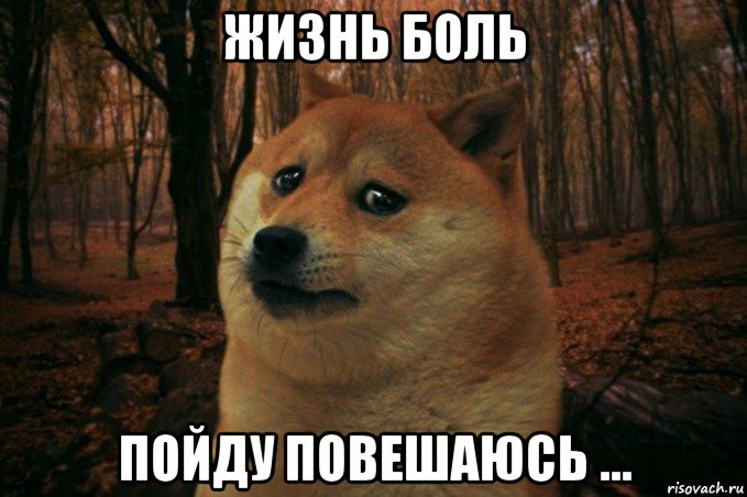 жизнь боль пойду повешаюсь ..., Мем SAD DOGE