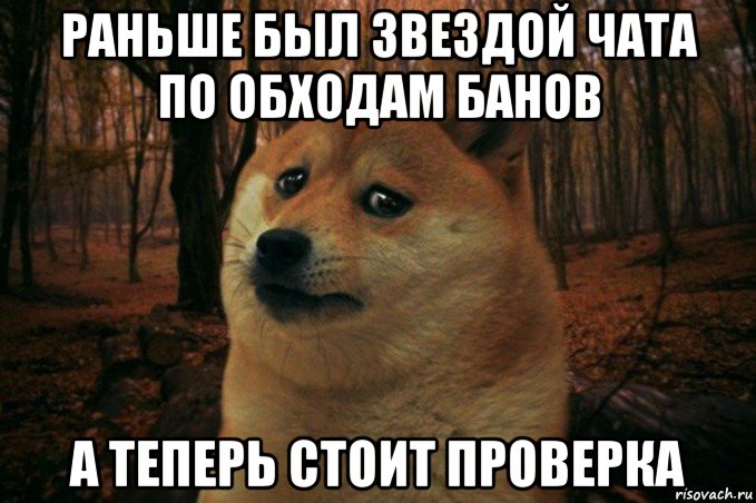 раньше был звездой чата по обходам банов а теперь стоит проверка, Мем SAD DOGE