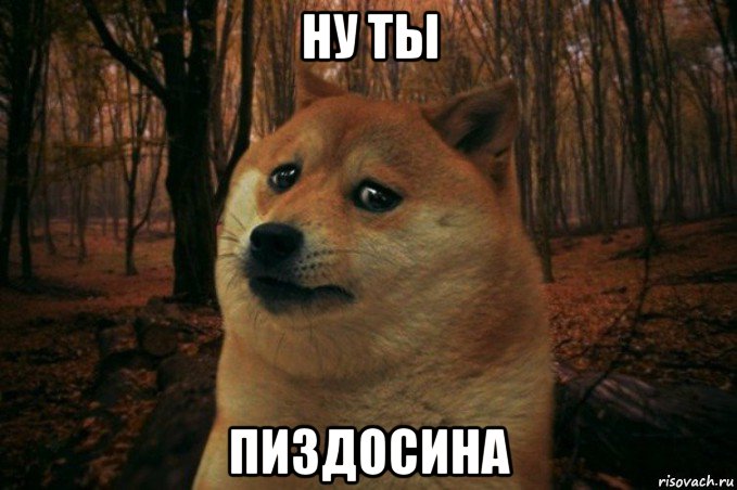 ну ты пиздосина, Мем SAD DOGE