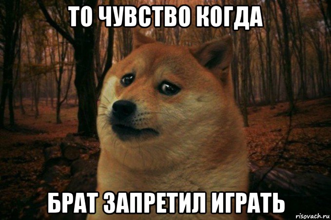 то чувство когда брат запретил играть, Мем SAD DOGE