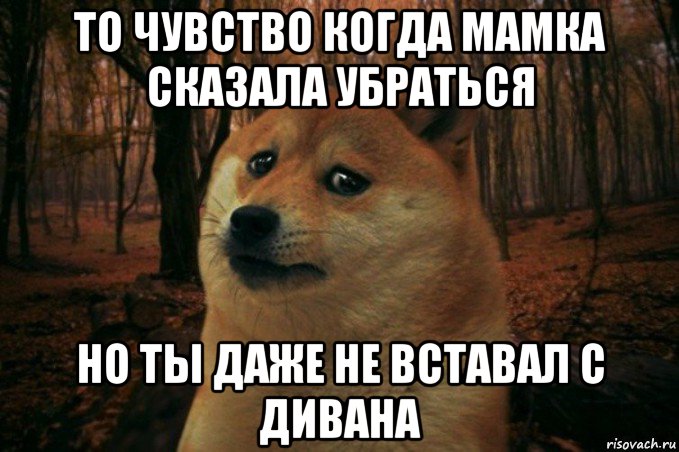 то чувство когда мамка сказала убраться но ты даже не вставал с дивана, Мем SAD DOGE