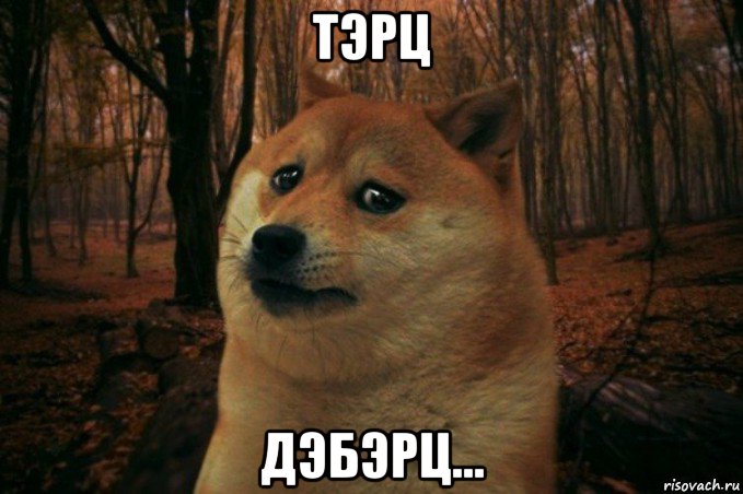 тэрц дэбэрц..., Мем SAD DOGE