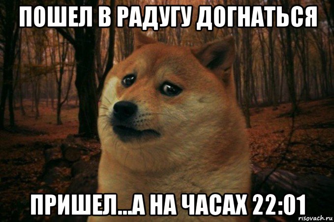 пошел в радугу догнаться пришел...а на часах 22:01, Мем SAD DOGE