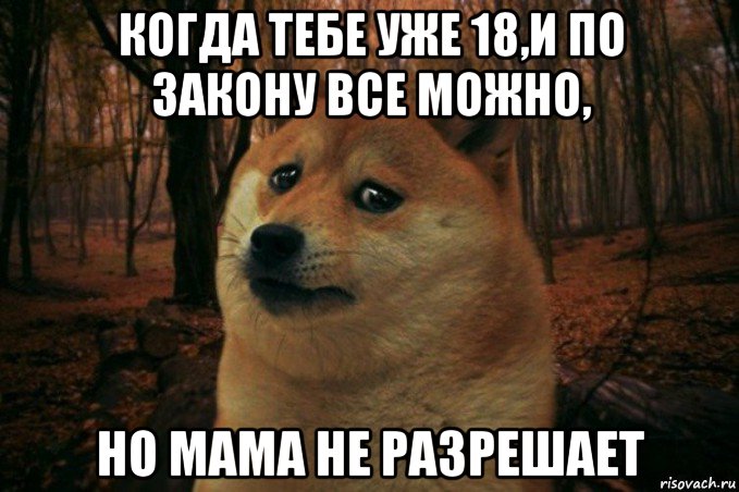 когда тебе уже 18,и по закону все можно, но мама не разрешает, Мем SAD DOGE