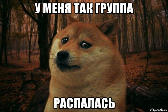 у меня так группа распалась, Мем SAD DOGE