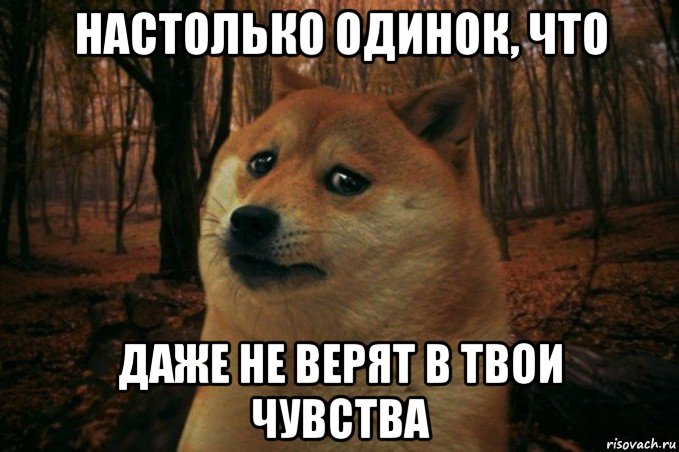 настолько одинок, что даже не верят в твои чувства, Мем SAD DOGE