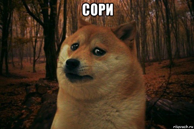 сори , Мем SAD DOGE