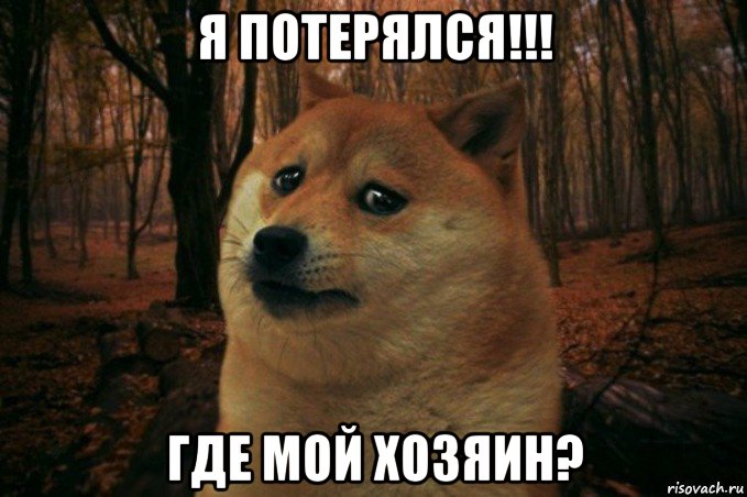 я потерялся!!! где мой хозяин?, Мем SAD DOGE