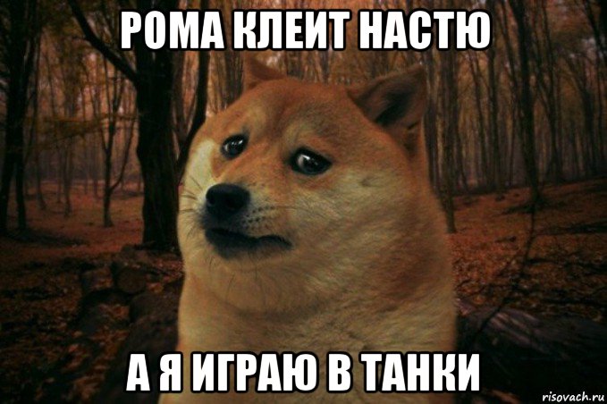 рома клеит настю а я играю в танки, Мем SAD DOGE