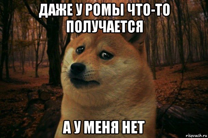 даже у ромы что-то получается а у меня нет, Мем SAD DOGE