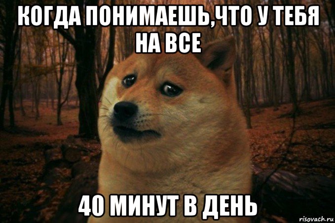 когда понимаешь,что у тебя на все 40 минут в день, Мем SAD DOGE