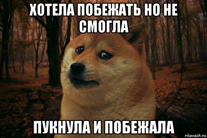 хотела побежать но не смогла пукнула и побежала, Мем SAD DOGE