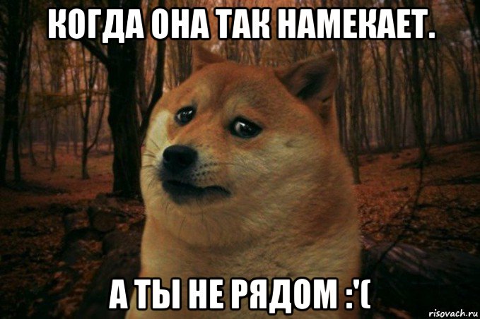 когда она так намекает. а ты не рядом :'(, Мем SAD DOGE