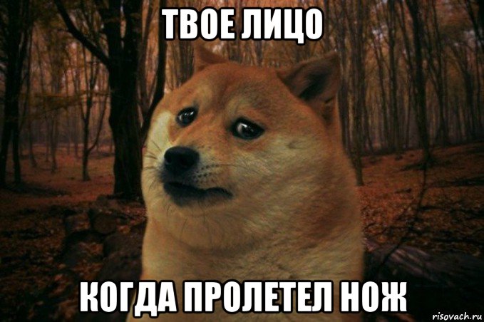 твое лицо когда пролетел нож, Мем SAD DOGE