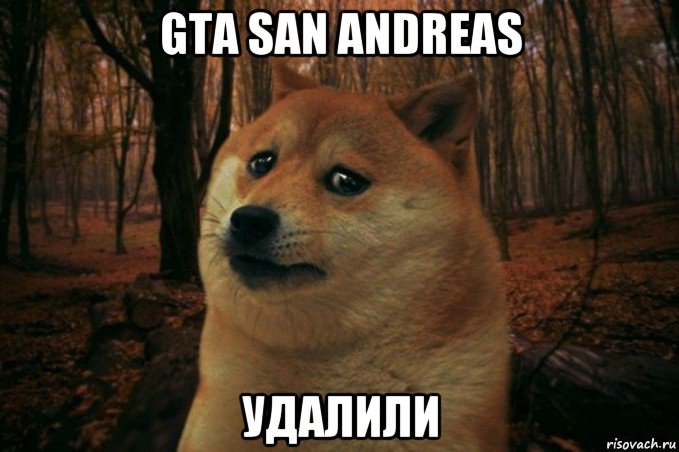 gta san andreas удалили, Мем SAD DOGE