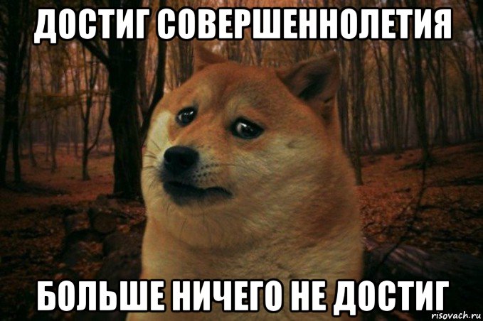 достиг совершеннолетия больше ничего не достиг, Мем SAD DOGE