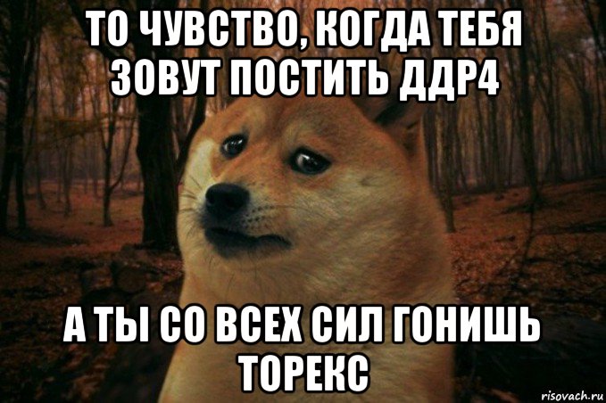 то чувство, когда тебя зовут постить ддр4 а ты со всех сил гонишь торекс, Мем SAD DOGE