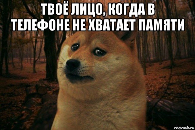 твоё лицо, когда в телефоне не хватает памяти , Мем SAD DOGE