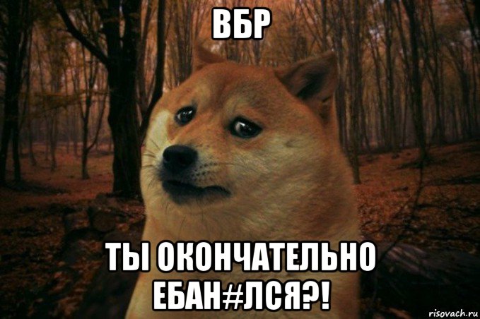 вбр ты окончательно ебан#лся?!, Мем SAD DOGE