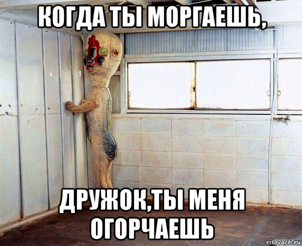 когда ты моргаешь, дружок,ты меня огорчаешь