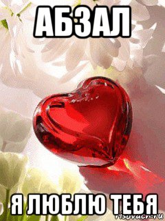 абзал я люблю тебя