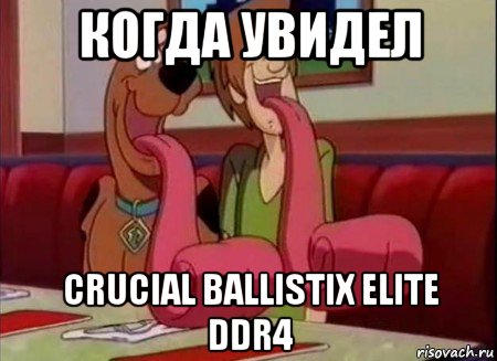 когда увидел crucial ballistix elite ddr4, Мем Скуби ду