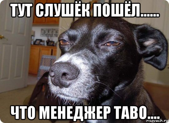 тут слушёк пошёл...... что менеджер таво....