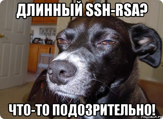 длинный ssh-rsa? что-то подозрительно!