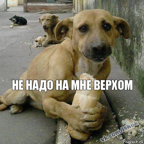 Не надо на мне верхом 