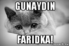 gunaydin faridka!