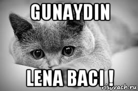 gunaydin lena baci !