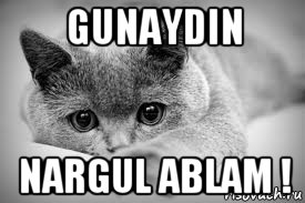 gunaydin nargul ablam !