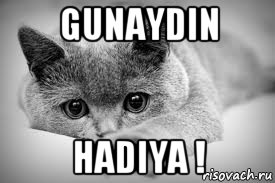 gunaydin hadiya !