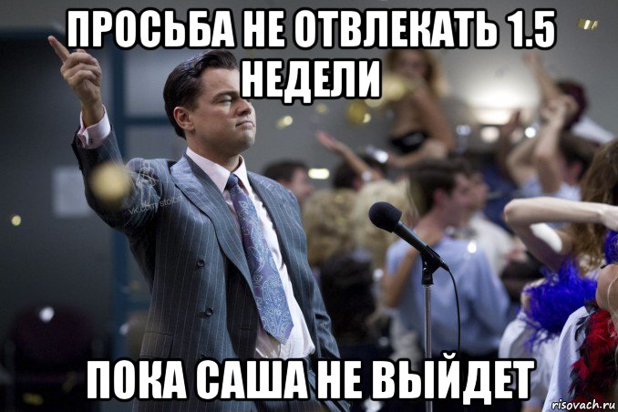 просьба не отвлекать 1.5 недели пока саша не выйдет, Мем  Волк с Уолтстрит