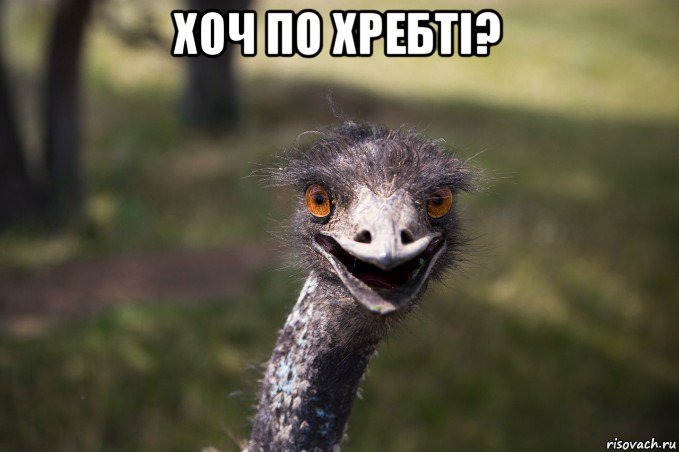 хоч по хребті? 