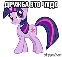 дружба это чудо 