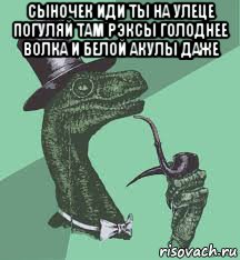 сыночек иди ты на улеце погуляй там рэксы голоднее волка и белой акулы даже , Мем   сударь