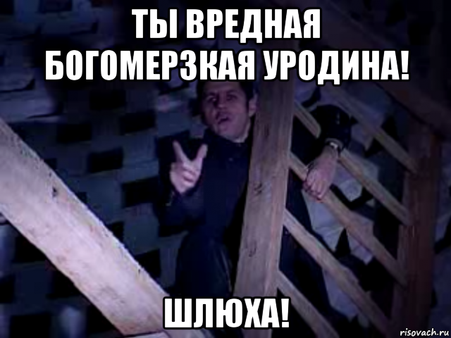 ты вредная богомерзкая уродина! шлюxа!, Мем Суканаx священник