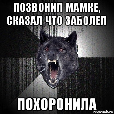 позвонил мамке, сказал что заболел похоронила, Мем Сумасшедший волк