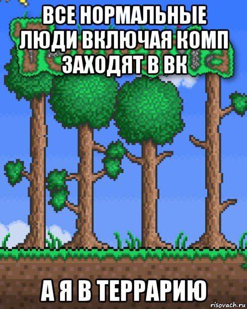 все нормальные люди включая комп заходят в вк а я в террарию
