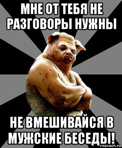 мне от тебя не разговоры нужны не вмешивайся в мужские беседы!