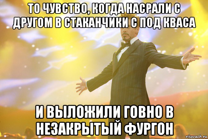 то чувство, когда насрали с другом в стаканчики с под кваса и выложили говно в незакрытый фургон, Мем Тони Старк (Роберт Дауни младший)