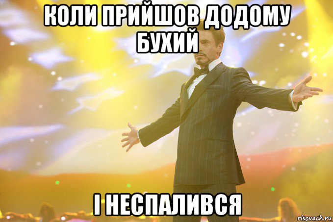 коли прийшов додому бухий і неспалився, Мем Тони Старк (Роберт Дауни младший)