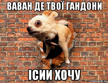 ваван де твої гандони ісии хочу