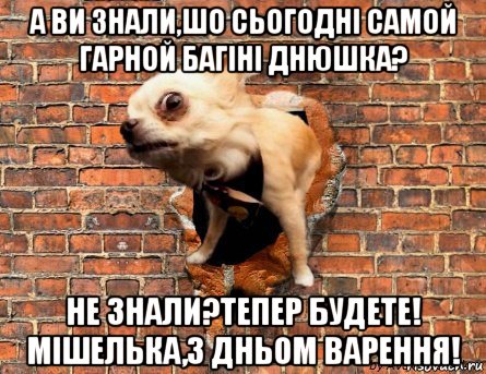 а ви знали,шо сьогодні самой гарной багіні днюшка? не знали?тепер будете! мішелька,з дньом варення!